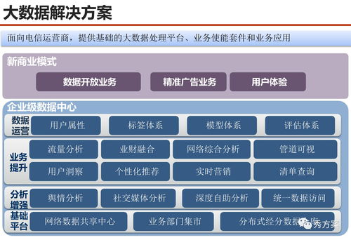 數據場景 服務型集團公司大數據應用解決方案 PPT 范本與數據處理服務設計